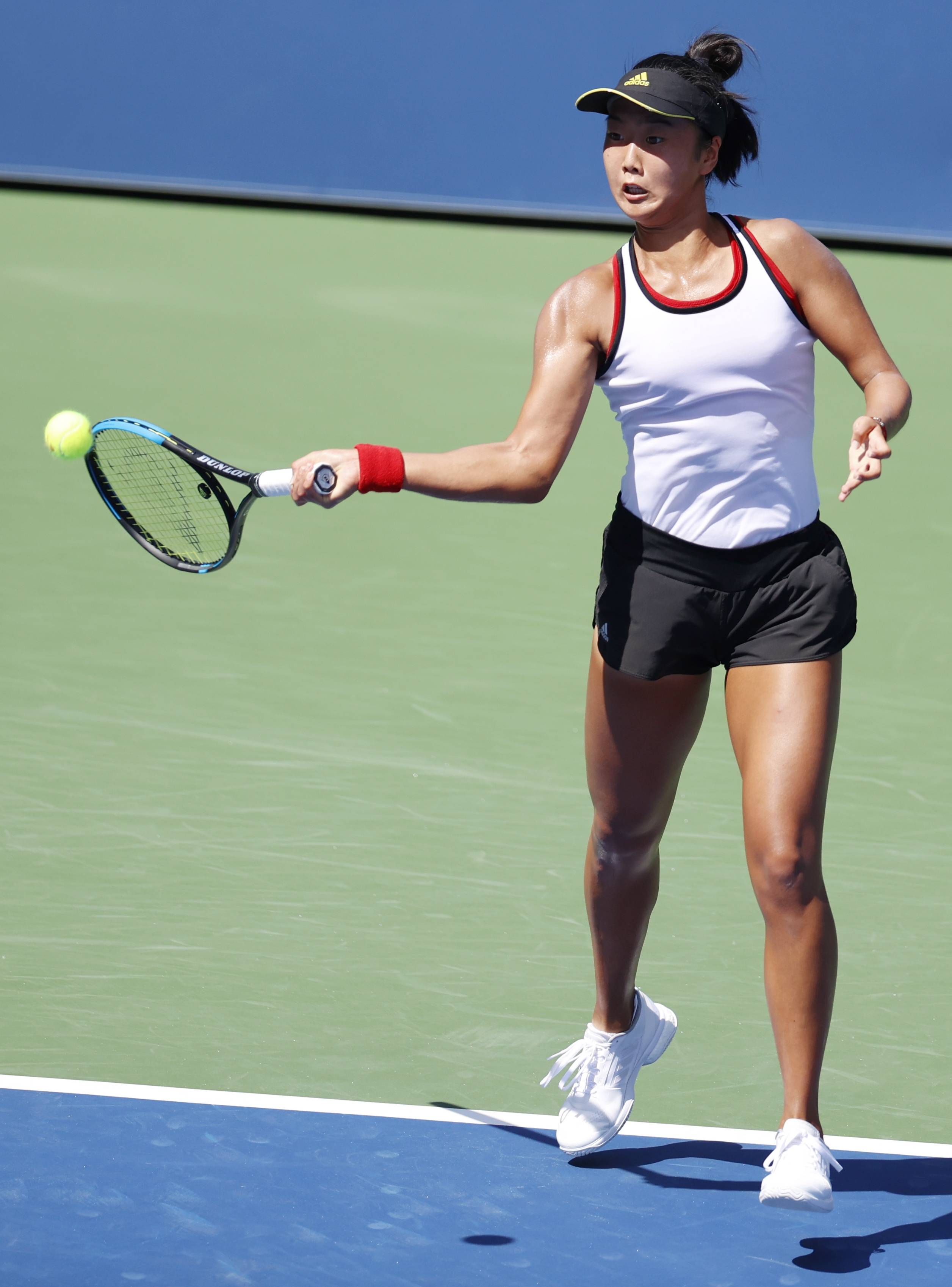 职业精神的 职业精神的